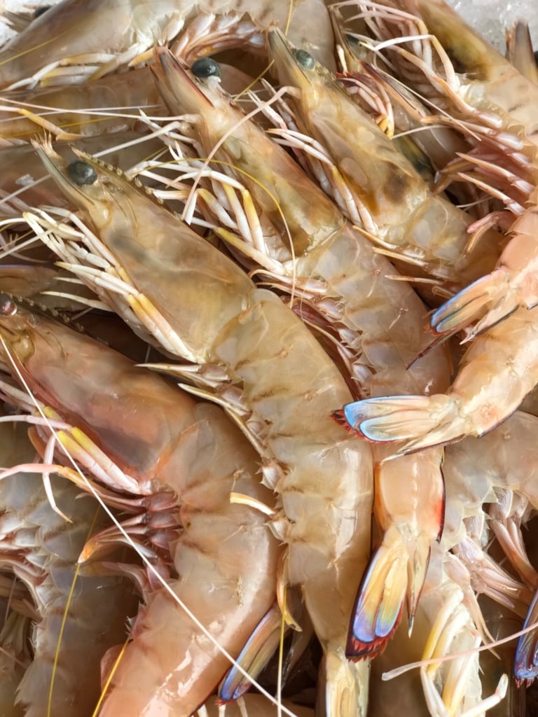 FRESH!! Lakes Entrance Green Prawns Ocean Made Seafood
